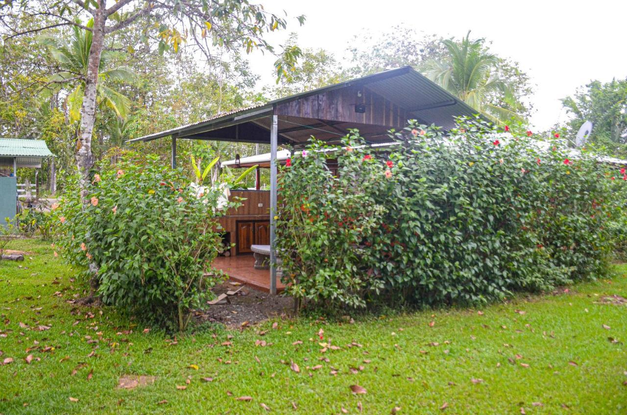 Hospedaje Y Alojamiento Cabanas Don Beto La Palma Exteriér fotografie